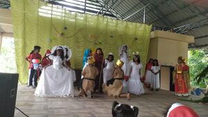 29312 2019christmas8.jpeg