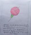 SREYA MANOJ, Std 1