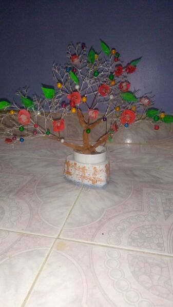 പ്രമാണം:AMANA 5D.jpg