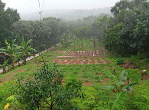 Vattakkavu village.png