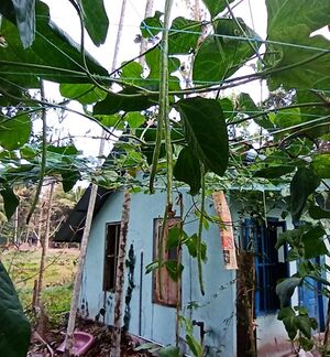 WhatsApp Image 2022-03-14 at 10.38.49 PM.jpg