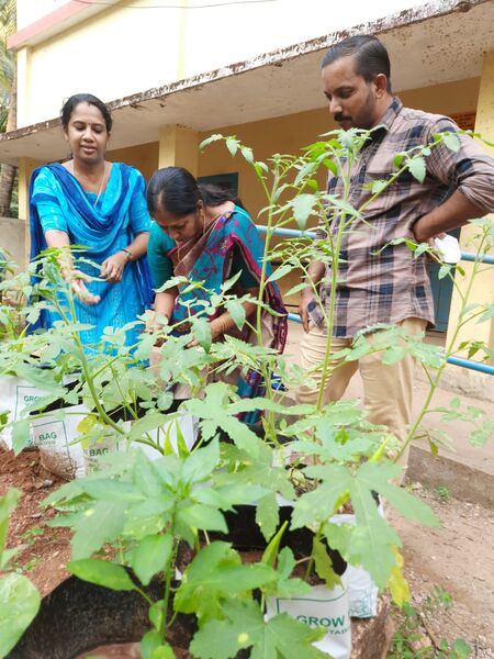 പ്രമാണം:11453 a3.jpg