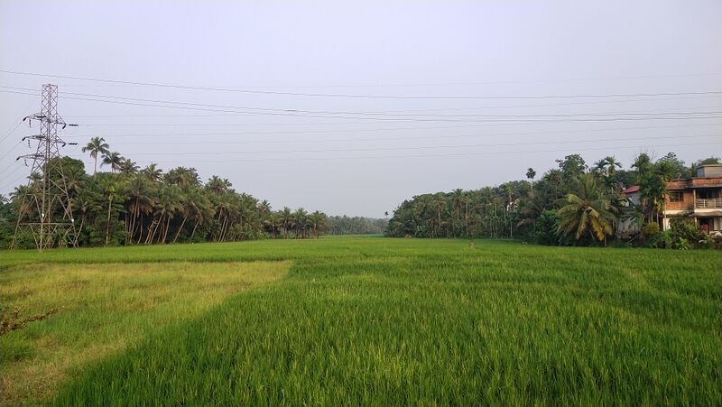 പ്രമാണം:13364 ksvup.jpg