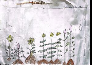 18212-MLP-KUNJ-FATHIMA NIDA MA.jpg