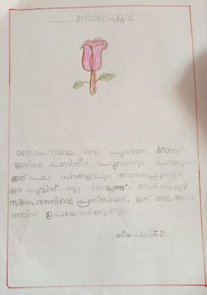 23301-TSR-KUNJ-NIYA PRINCE.jpeg