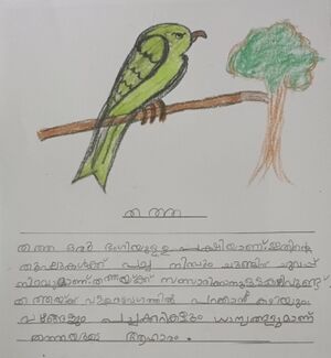 24073-TSR-KUNJ-ALDRIN JAISON.jpg