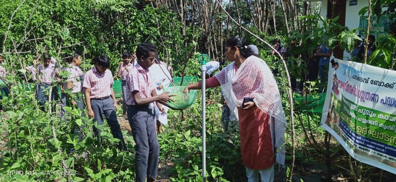 പ്രമാണം:25461-vegetable garden 3.jpeg