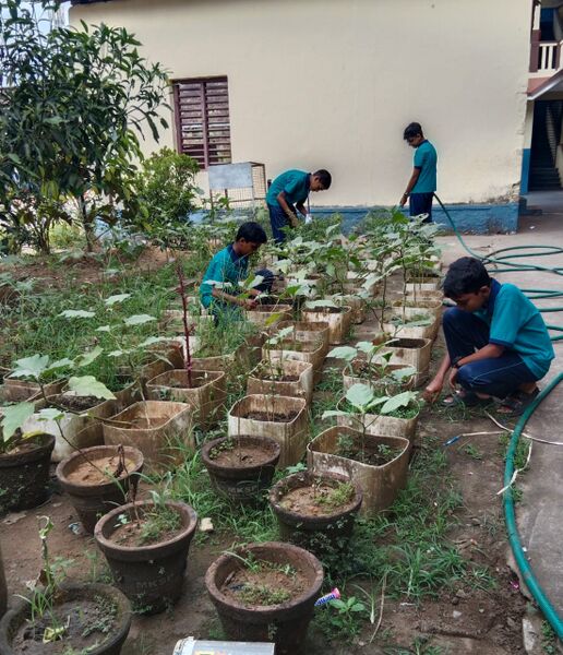 പ്രമാണം:27009 nutrition.jpeg