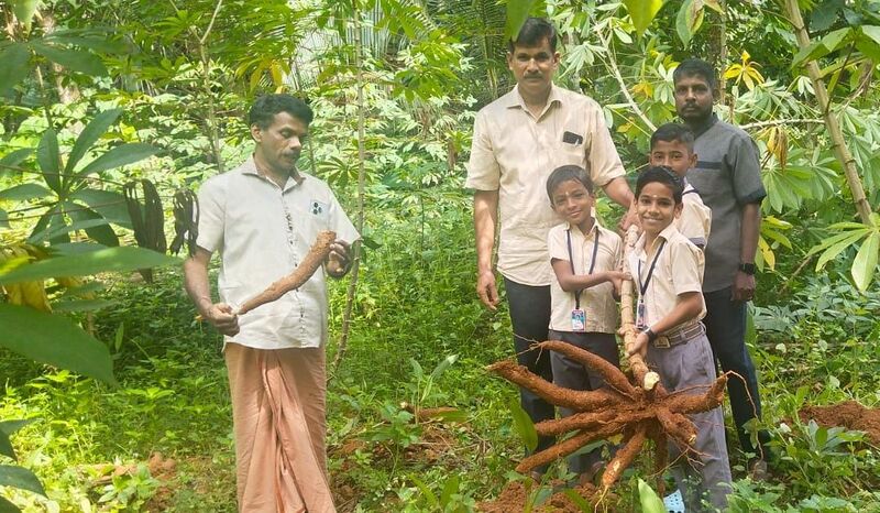 പ്രമാണം:29228 kappa.jpg