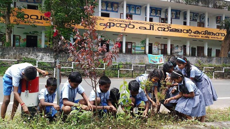 പ്രമാണം:29312 roadgarden2.jpeg