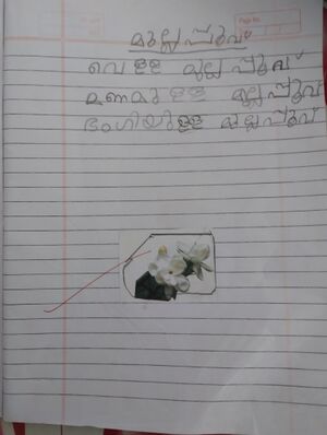 31541-KTM-KUNJ-SHREYAN SHINU.1.jpg