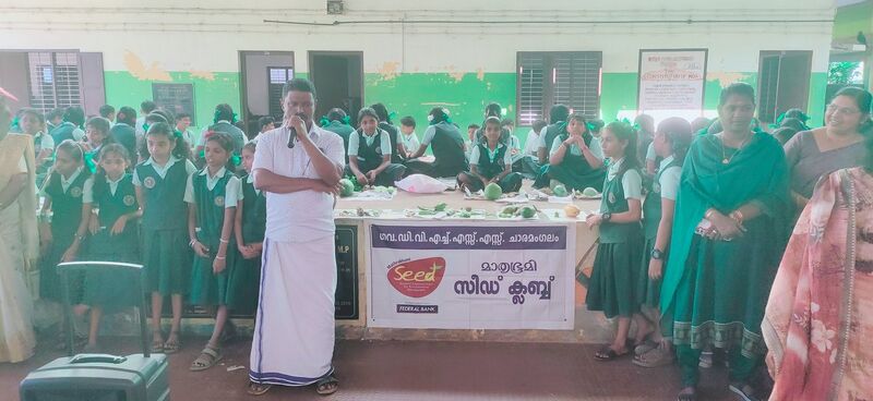 പ്രമാണം:34013seed display25f.jpg