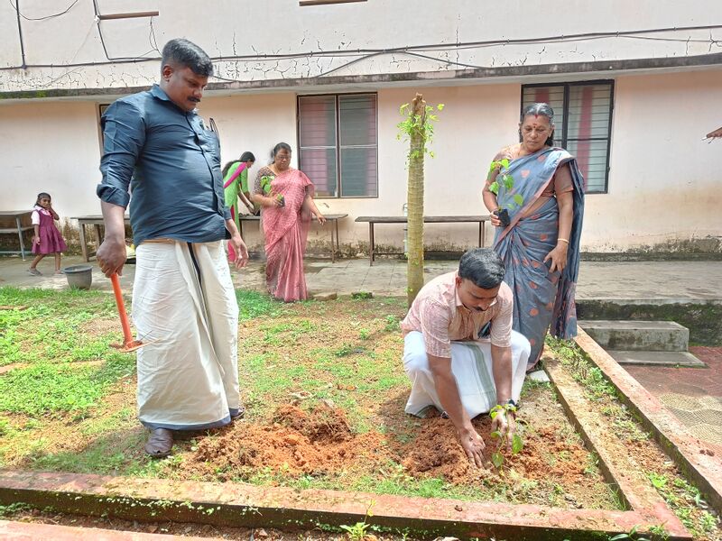 പ്രമാണം:42522 school vegetable garden.jpg