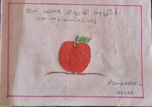 48548-MLP-Kunju-Asma Nasrin.jpg