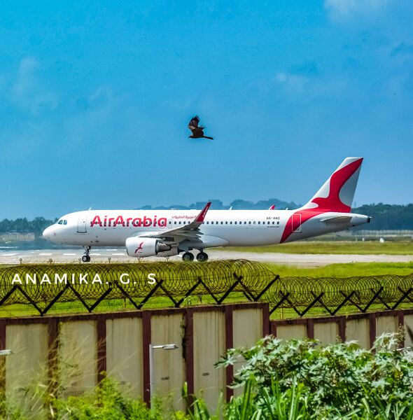 പ്രമാണം:An7 43065.jpeg