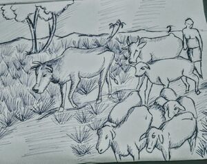 John joyal 12C humanities.jpg