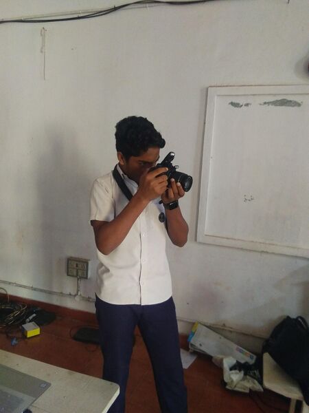 പ്രമാണം:LITTLE KITE IMAGE3.jpg