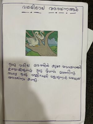 Muhammed rabeeh.jpeg