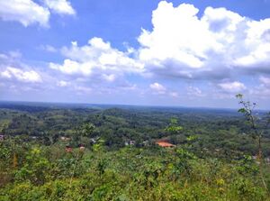 WhatsApp Image 2019-09-01 at 9.46.57 PM.jpeg