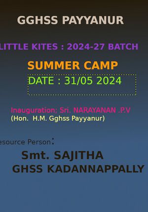 13098-littlekites reliminary camp.jpg