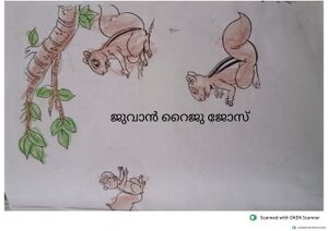 15373-WYD-KUNJ-JUVAN RAIJU JOSE.jpeg