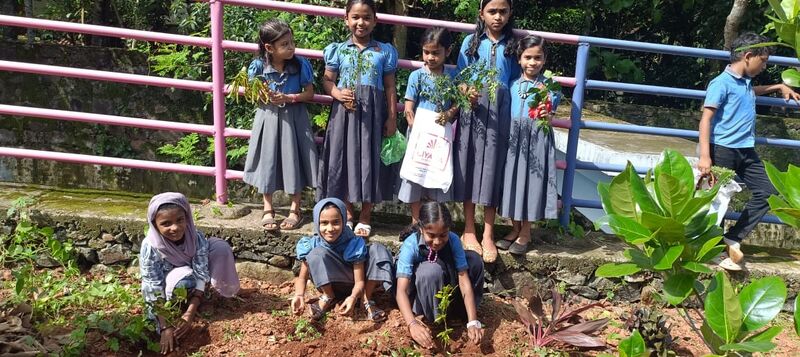 പ്രമാണം:19826 plant.jpeg