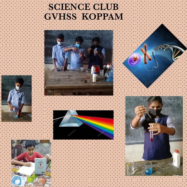 പ്രമാണം:20015 scienc1.jpeg