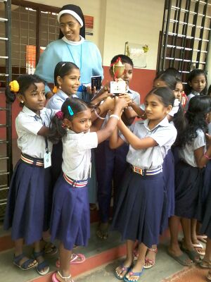 28209-Nettangal (14).jpeg