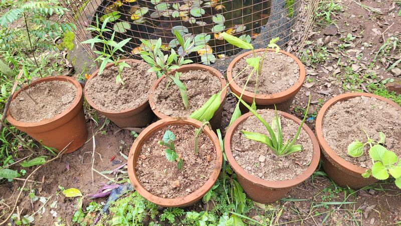 പ്രമാണം:29228 sd14.jpg