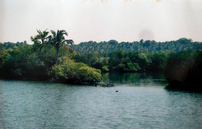 പ്രമാണം:36053 204.jpeg