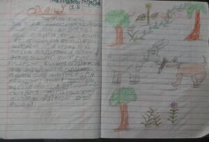 41523-KLM-KUNJ-SIVATHEERTHA SUJIL.jpeg