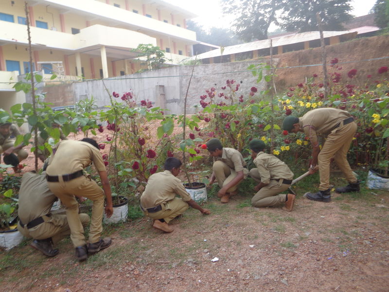 പ്രമാണം:42029 1.JPG