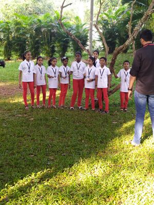 42564 HV 1.resized.jpg