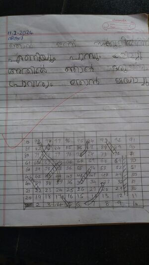 Haisa mariyum dairy.jpeg