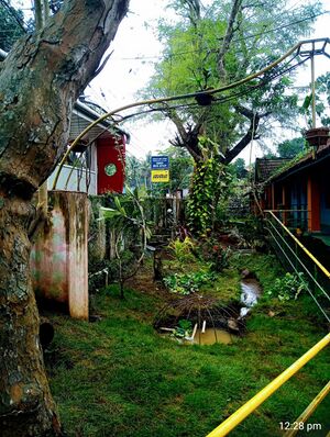 IMG 20220124 122508(1).jpg