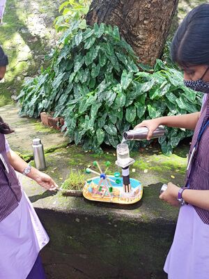 Social mela 1 20021.jpeg