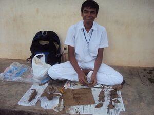 Wefair 13 35052 (3).JPG