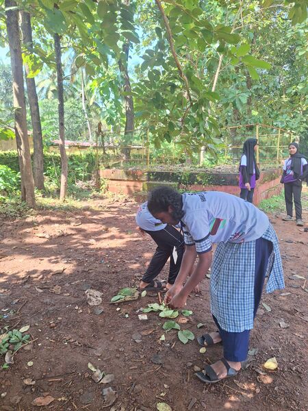 പ്രമാണം:11007 GJ 251.jpeg