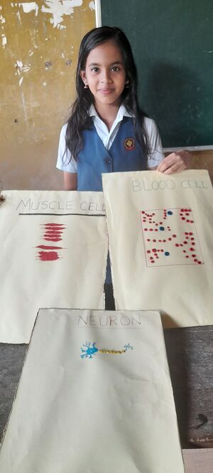 16359 science fair3.jpg