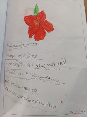 18645-MLP-KUNJ-AMINA SAFA.jpeg