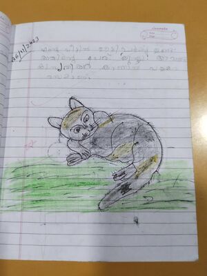 19367-MLP-KUNJ-FATHIMA HANNA.jpg