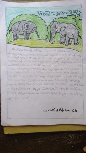 പ്രമാണം:19417-MLP-KUNJ-FATHIMA DILNA.jpg