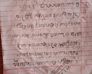 19636-MLP-JAZA MEHRIN.png