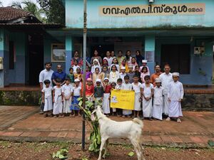 19833-MLP- Bashi - 2.jpg