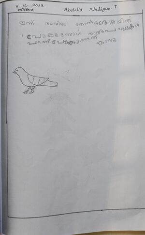 20633-PKD-Abdulla Nahiyan T.jpg