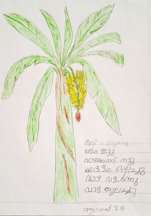 23326-TSR-KUNJ-Agnes maria.jpg