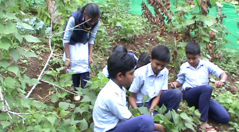 പ്രമാണം:30065 115 crop.png