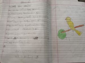 32412-KTM-KUNJ-SAIRABANU S.jpg