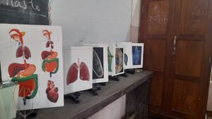 35233 science lab 1.jpeg