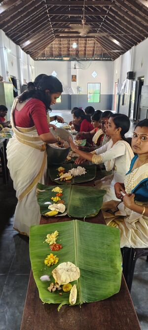 35330 ALP ONAM2.jpg